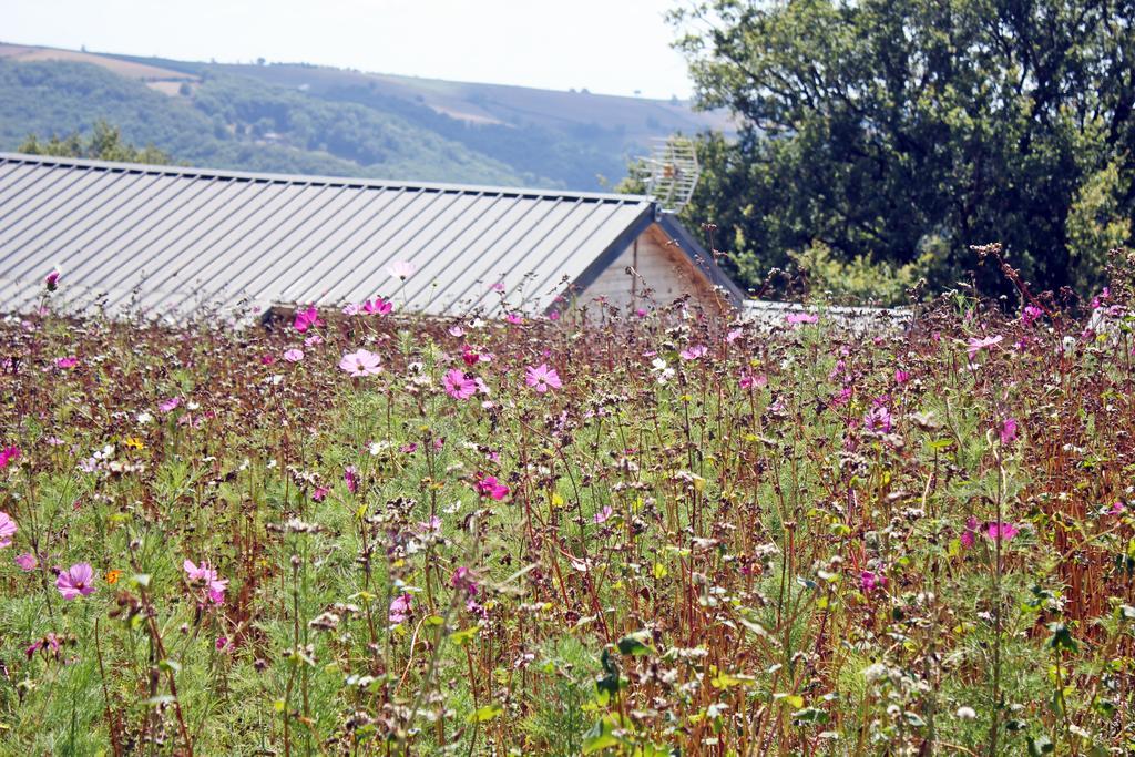 Camping Domaine Vallee Du Tarn Sn Saint-Cirgue Exterior foto